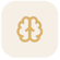 brain-icon